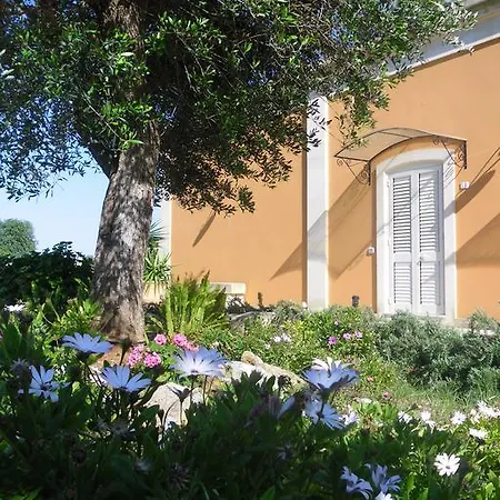 Tenuta Masseria Del Gallo *
